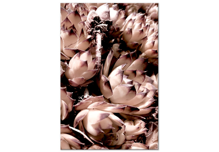 Canvas Print Romantic succulents - an artistic photo of a plant in pastels 122645