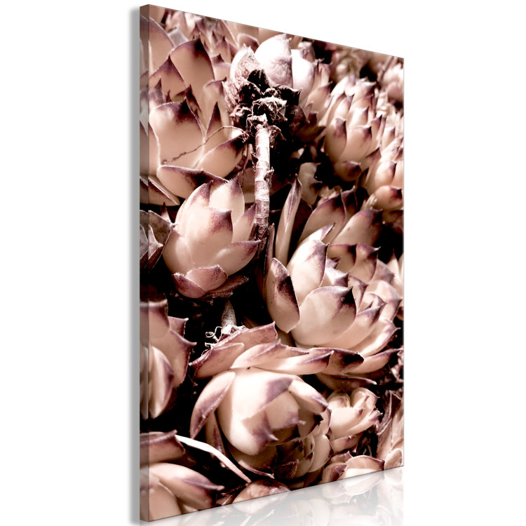 Canvas Print Romantic succulents - an artistic photo of a plant in pastels 122645 additionalImage 2