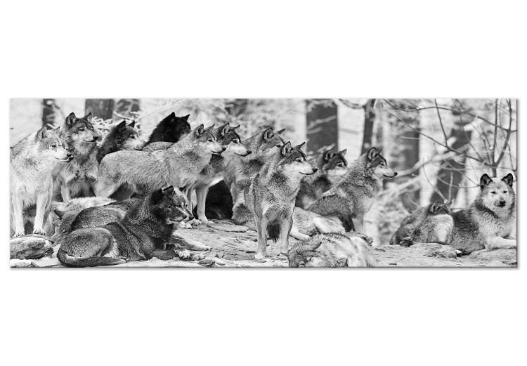 Canvas Print Wolf Pack (1 Part) Narrow 125345