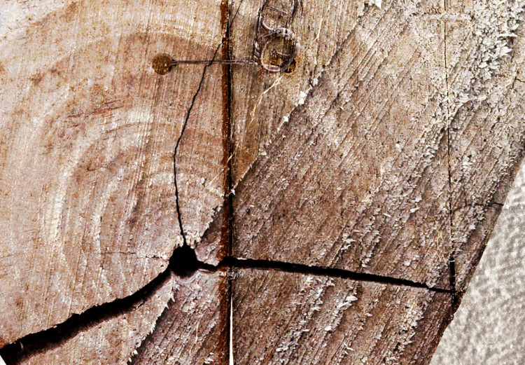 Poster Love Tree - wood texture in the shape of a heart against a wall 127345 additionalImage 4