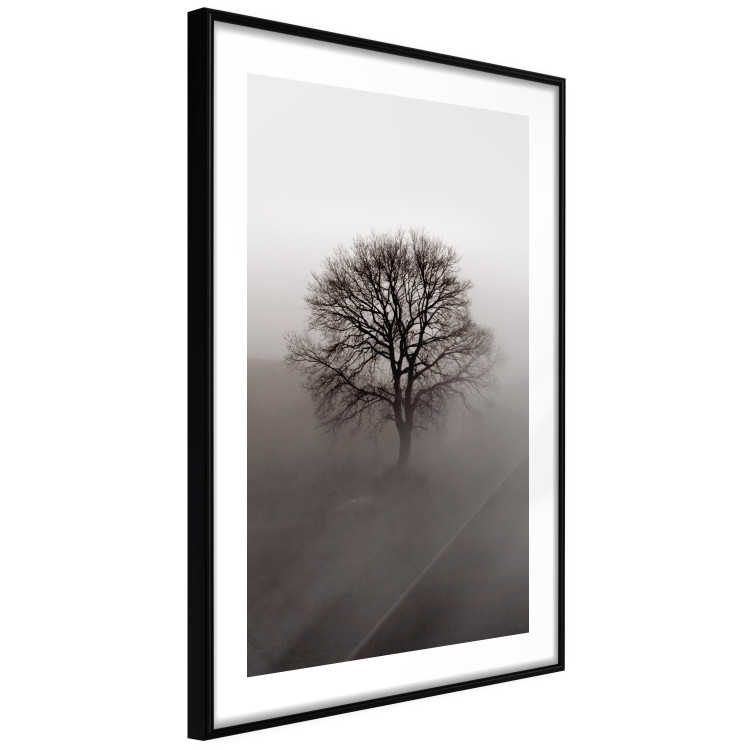 Wall Poster Power Dormant in a Tree - landscape of a leafless tree in thick fog 130245 additionalImage 8