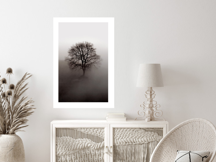 Wall Poster Power Dormant in a Tree - landscape of a leafless tree in thick fog 130245 additionalImage 3