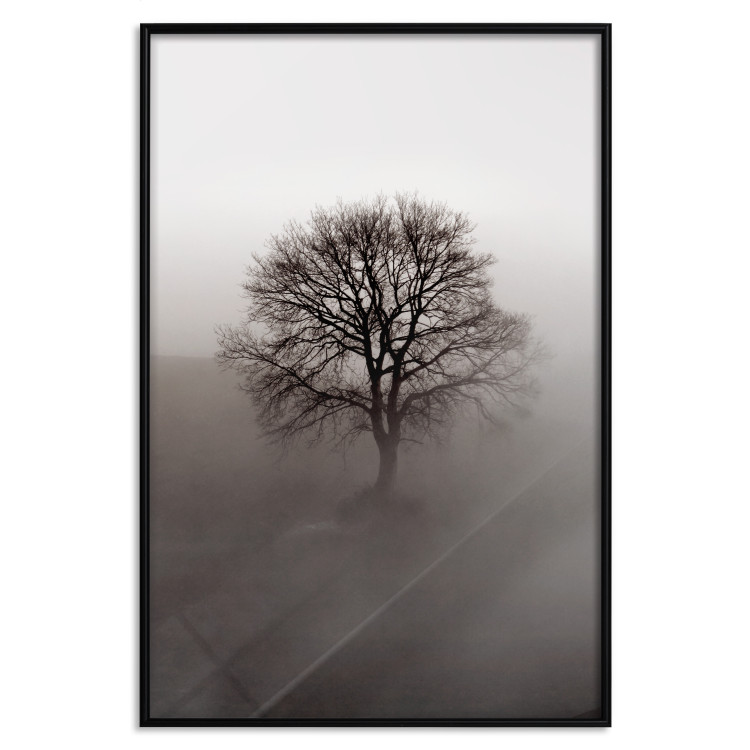 Wall Poster Power Dormant in a Tree - landscape of a leafless tree in thick fog 130245 additionalImage 18