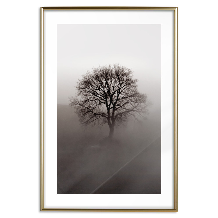 Wall Poster Power Dormant in a Tree - landscape of a leafless tree in thick fog 130245 additionalImage 16