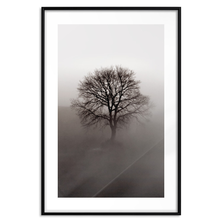 Wall Poster Power Dormant in a Tree - landscape of a leafless tree in thick fog 130245 additionalImage 17