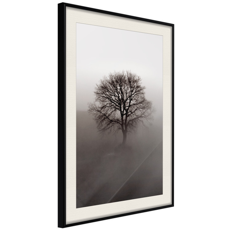 Wall Poster Power Dormant in a Tree - landscape of a leafless tree in thick fog 130245 additionalImage 2
