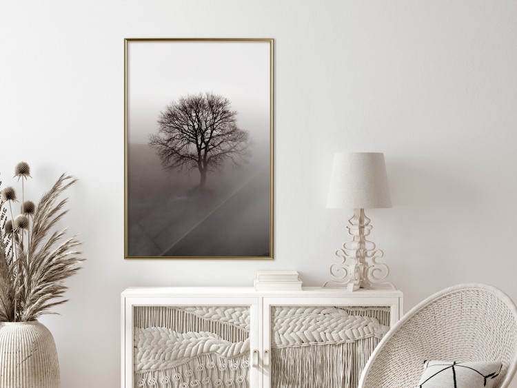 Wall Poster Power Dormant in a Tree - landscape of a leafless tree in thick fog 130245 additionalImage 5