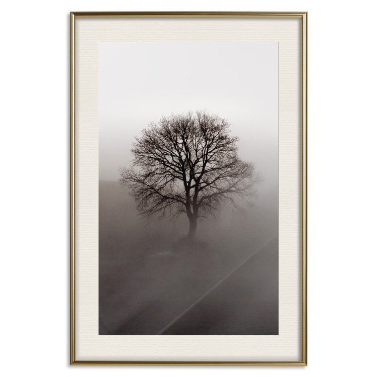 Wall Poster Power Dormant in a Tree - landscape of a leafless tree in thick fog 130245 additionalImage 20