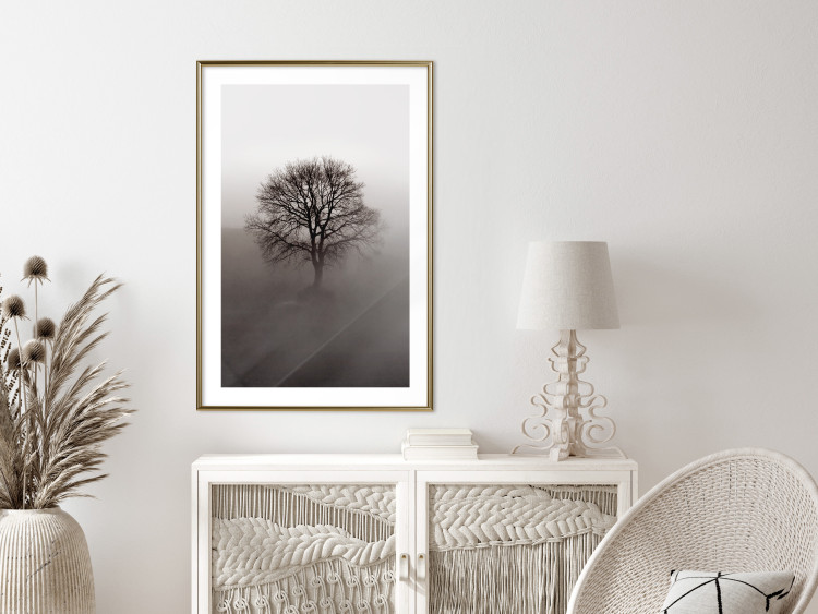 Wall Poster Power Dormant in a Tree - landscape of a leafless tree in thick fog 130245 additionalImage 13