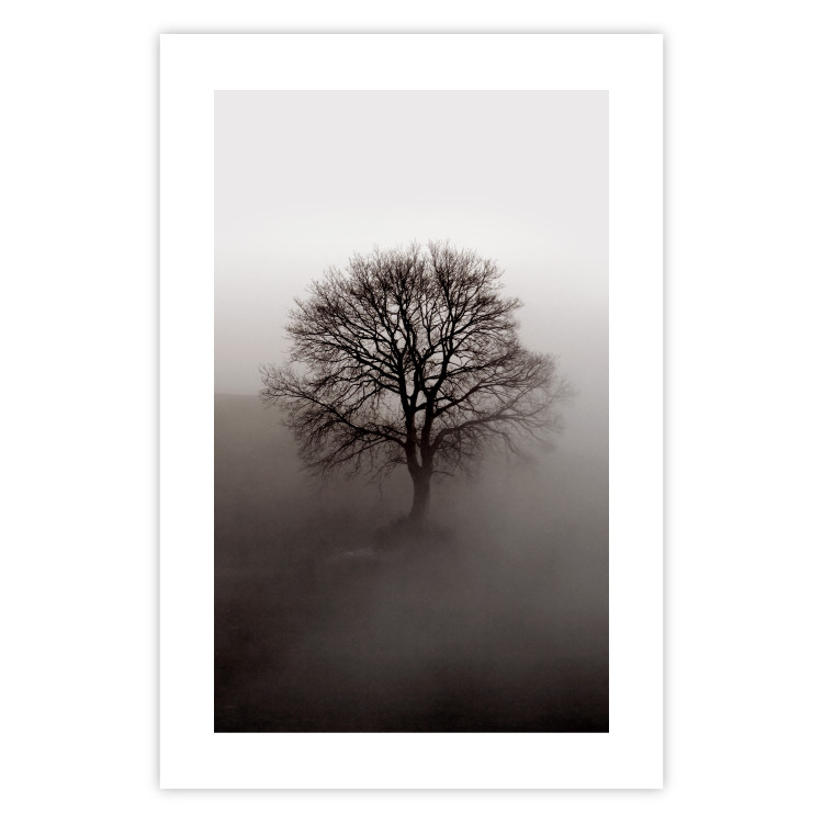 Wall Poster Power Dormant in a Tree - landscape of a leafless tree in thick fog 130245 additionalImage 19