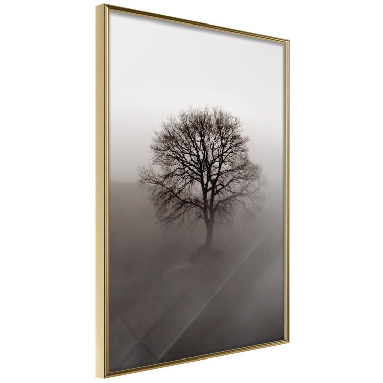 Wall Poster Power Dormant in a Tree - landscape of a leafless tree in thick fog 130245 additionalImage 14