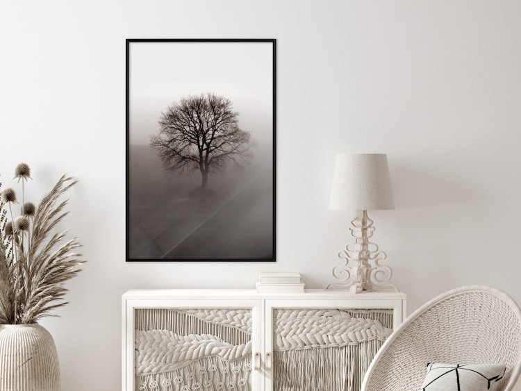 Wall Poster Power Dormant in a Tree - landscape of a leafless tree in thick fog 130245 additionalImage 4