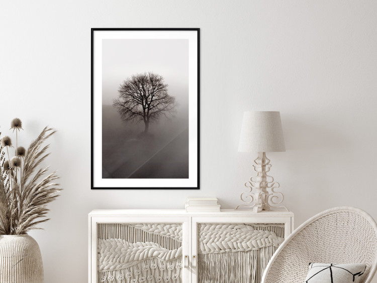 Wall Poster Power Dormant in a Tree - landscape of a leafless tree in thick fog 130245 additionalImage 23