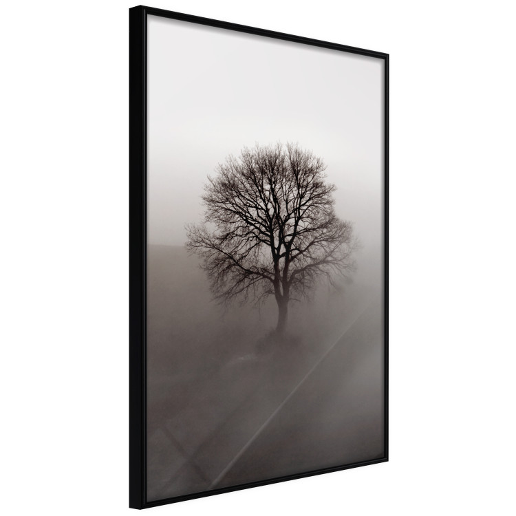 Wall Poster Power Dormant in a Tree - landscape of a leafless tree in thick fog 130245 additionalImage 11