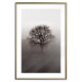Wall Poster Power Dormant in a Tree - landscape of a leafless tree in thick fog 130245 additionalThumb 16