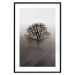 Wall Poster Power Dormant in a Tree - landscape of a leafless tree in thick fog 130245 additionalThumb 17