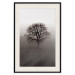 Wall Poster Power Dormant in a Tree - landscape of a leafless tree in thick fog 130245 additionalThumb 19