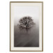 Wall Poster Power Dormant in a Tree - landscape of a leafless tree in thick fog 130245 additionalThumb 20