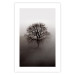 Wall Poster Power Dormant in a Tree - landscape of a leafless tree in thick fog 130245 additionalThumb 25