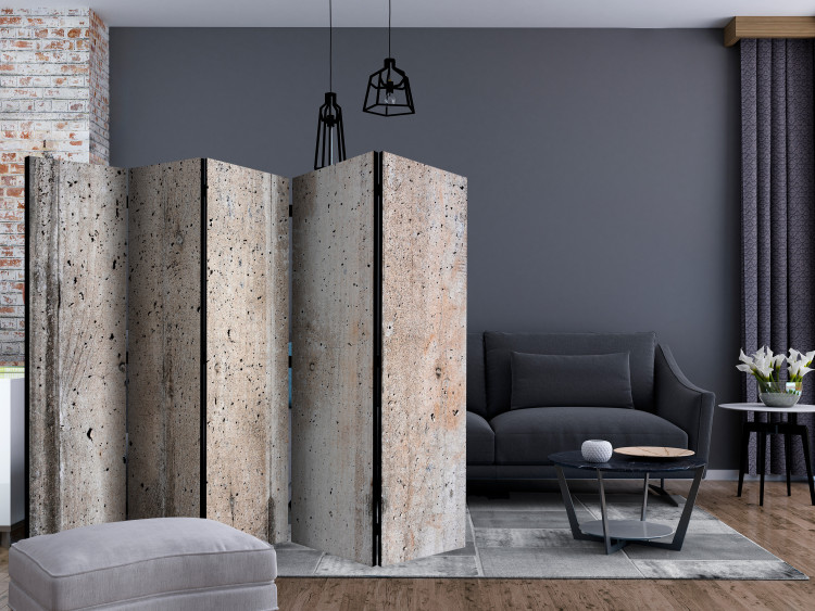 Room Divider Old Concrete II (5-piece) - industrial composition in gray background 133545 additionalImage 4