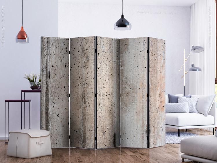 Room Divider Old Concrete II (5-piece) - industrial composition in gray background 133545 additionalImage 2