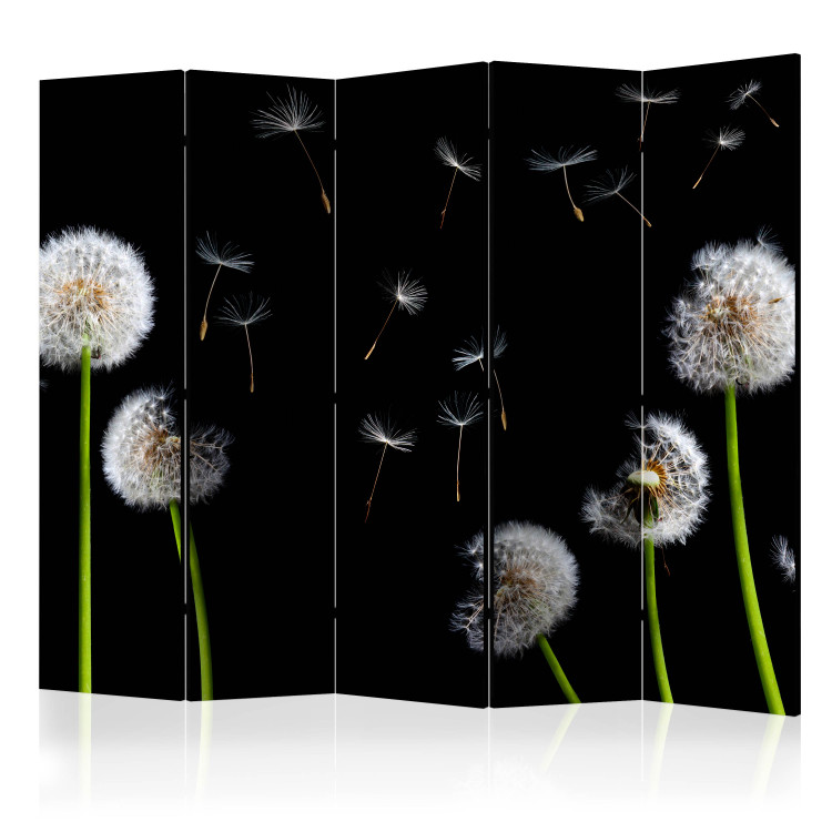 Room Separator Dandelions, Kites, Wind... II - dandelion flowers on a black background 133945