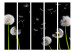 Room Separator Dandelions, Kites, Wind... II - dandelion flowers on a black background 133945 additionalThumb 3
