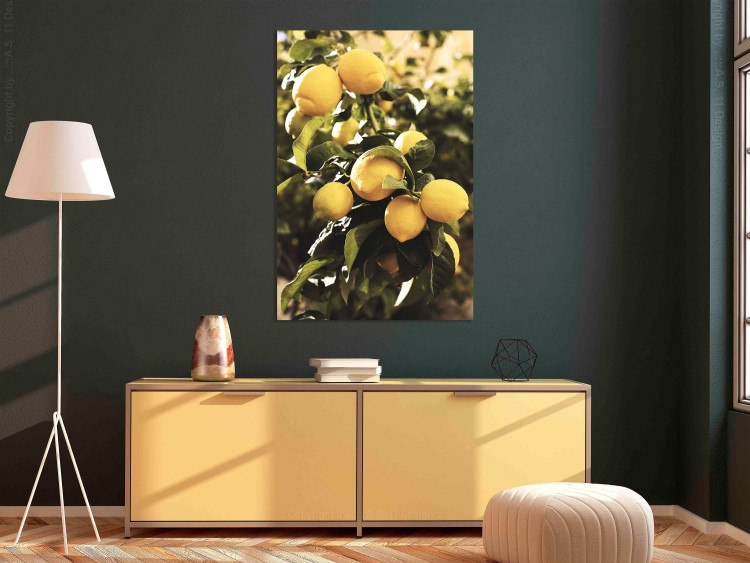Canvas Art Print Lemon tree - Photo of twigs of trees with ripe fruits 135845 additionalImage 3