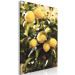 Canvas Art Print Lemon tree - Photo of twigs of trees with ripe fruits 135845 additionalThumb 2