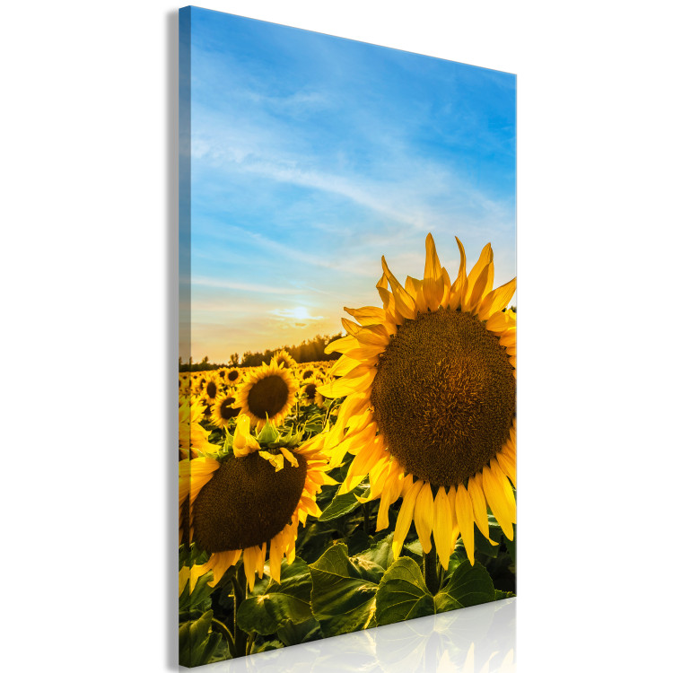 Canvas Flowers of Peace (1-piece) Vertical - sunflowers in a vast field 142445 additionalImage 2