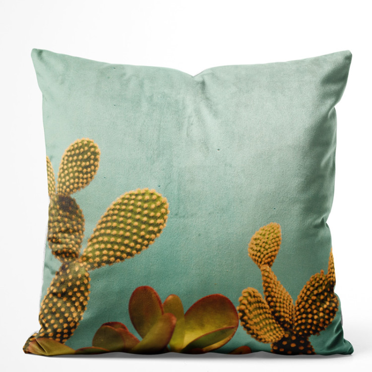 Decorative Velor Pillow Cactus sky - a plant composition on a celadon background 147045