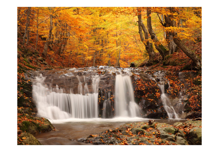 Wall Mural Autumn landscape : waterfall in forest 59845 additionalImage 1