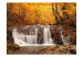 Wall Mural Autumn landscape : waterfall in forest 59845 additionalThumb 1