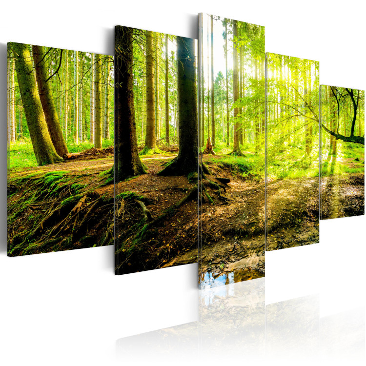 Canvas Poetry of the Forest (5-piece) - Sunlight Peeking Through Tree Canopies 93945 additionalImage 2