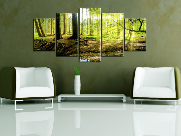 Canvas Poetry of the Forest (5-piece) - Sunlight Peeking Through Tree Canopies 93945 additionalImage 3