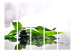 Folding Screen Zen II - green bamboo leaves and colorful stones on a white background 97345 additionalThumb 3