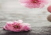 Canvas Print Love Sakura (1-piece) - Cherry Blossoms and Heart-Shaped Stone 105755 additionalThumb 4