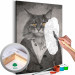 Paint by Number Kit Elegant Cat 108055