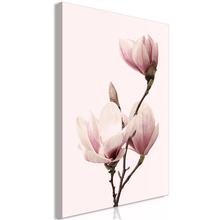Canvas Art Print Breath of Spring (1-part) - Pink Magnolia Flower in Nature's Shade 117155 additionalImage 2
