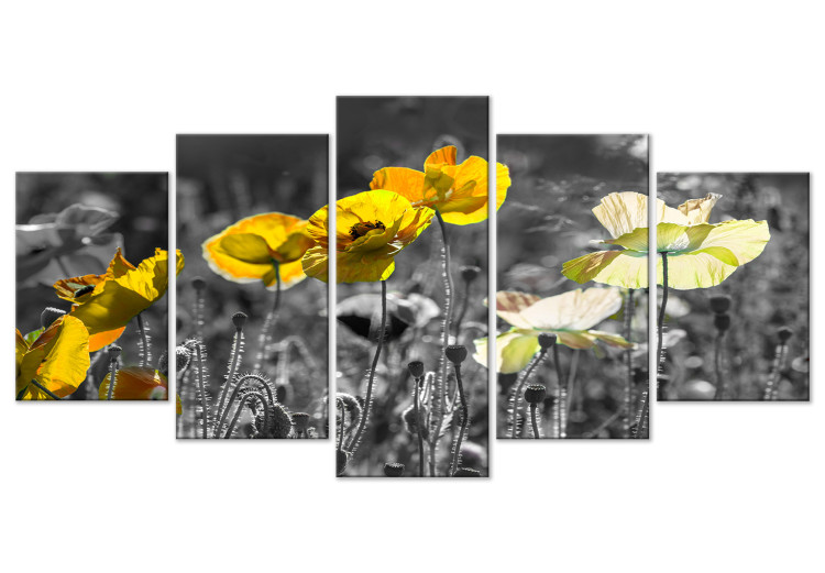 Canvas Print Yellow Poppies (5 Parts) Wide 123055