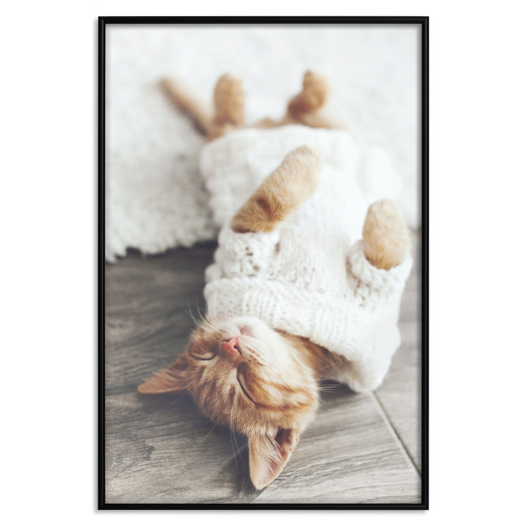 Wall Poster Lazy Cat - brown animal in a white sweater on a wooden floor 124455 additionalImage 18