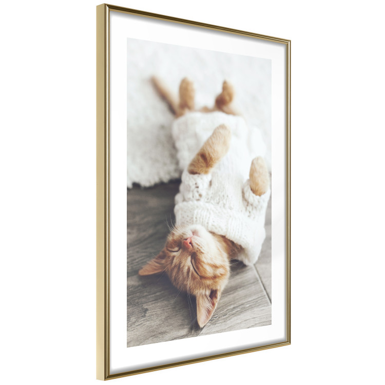 Wall Poster Lazy Cat - brown animal in a white sweater on a wooden floor 124455 additionalImage 6