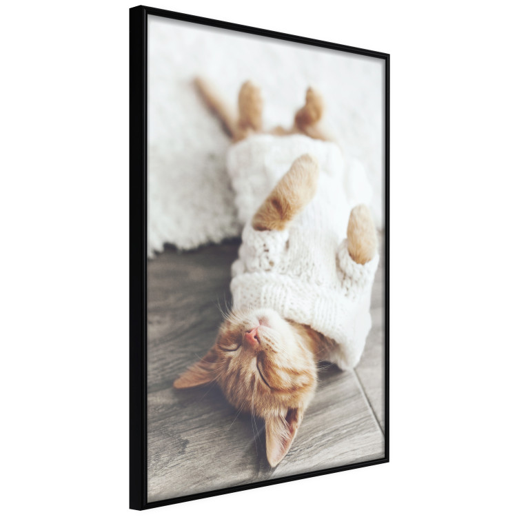 Wall Poster Lazy Cat - brown animal in a white sweater on a wooden floor 124455 additionalImage 10