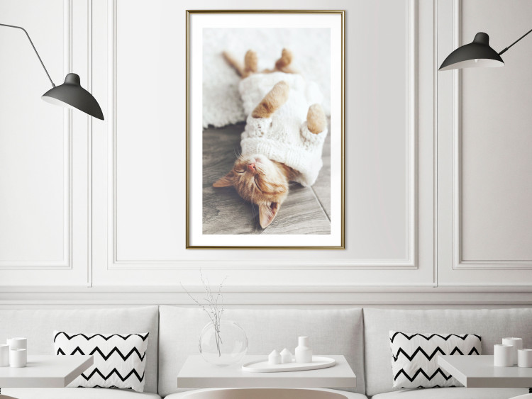 Wall Poster Lazy Cat - brown animal in a white sweater on a wooden floor 124455 additionalImage 13