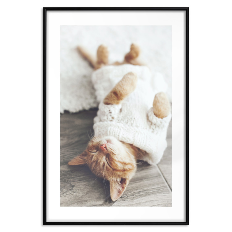 Wall Poster Lazy Cat - brown animal in a white sweater on a wooden floor 124455 additionalImage 15