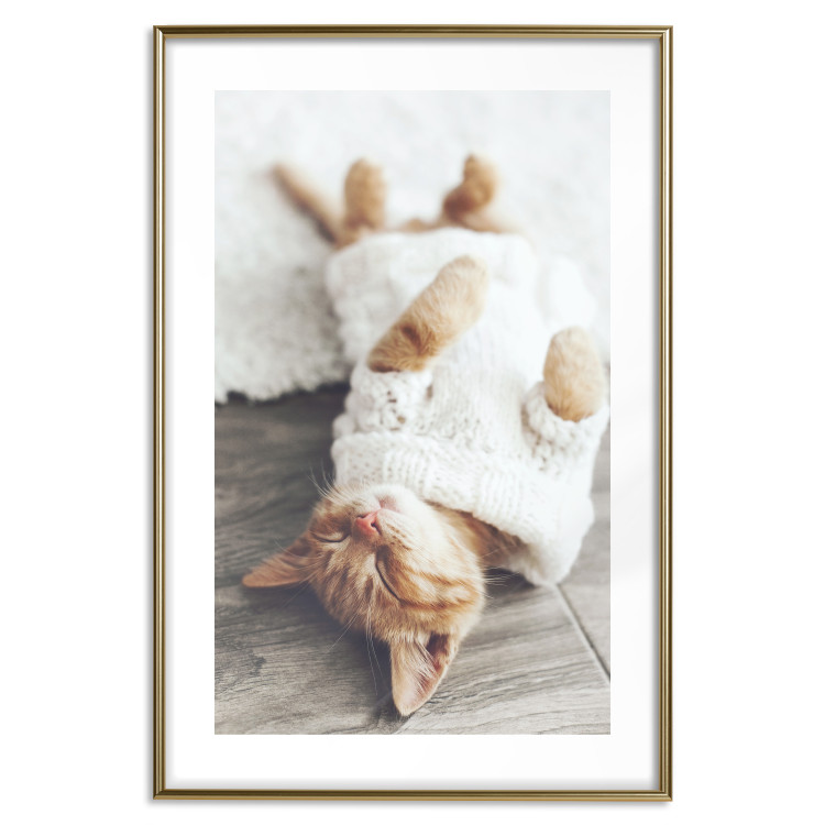 Wall Poster Lazy Cat - brown animal in a white sweater on a wooden floor 124455 additionalImage 14