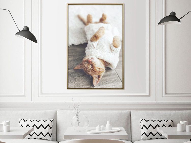 Wall Poster Lazy Cat - brown animal in a white sweater on a wooden floor 124455 additionalImage 5