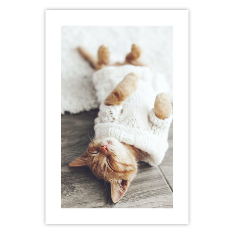 Wall Poster Lazy Cat - brown animal in a white sweater on a wooden floor 124455 additionalImage 19
