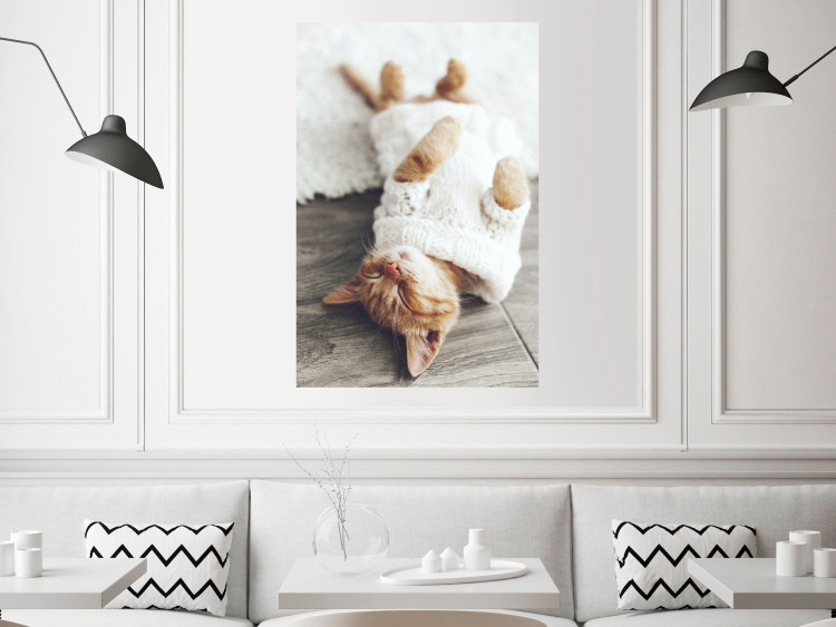 Wall Poster Lazy Cat - brown animal in a white sweater on a wooden floor 124455 additionalImage 17