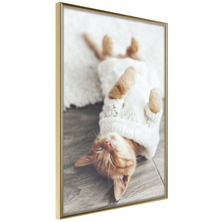 Wall Poster Lazy Cat - brown animal in a white sweater on a wooden floor 124455 additionalImage 12